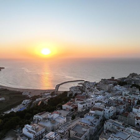 פסקיצ'י Vacanze Top מראה חיצוני תמונה