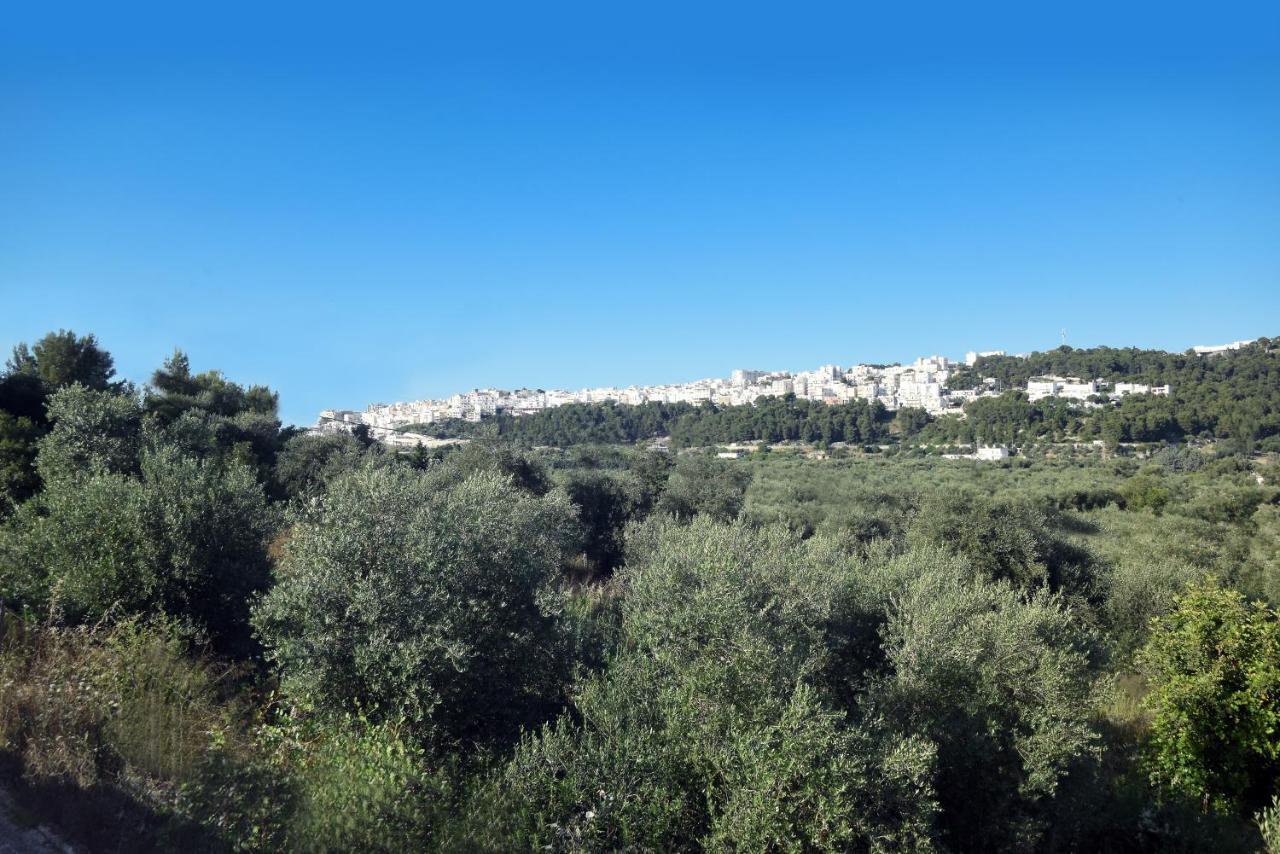 פסקיצ'י Vacanze Top מראה חיצוני תמונה